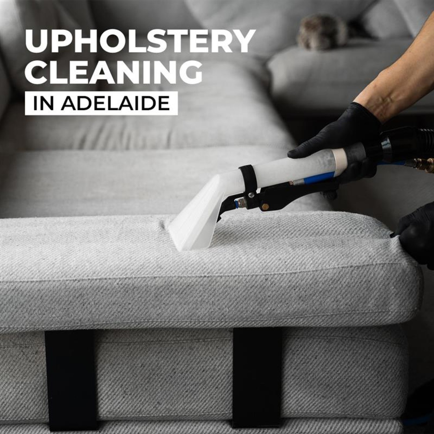 eliminate-filth-stains-and-germs-with-professional-upholstery-cleaning-adelaide